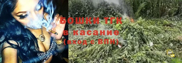 ПСИЛОЦИБИНОВЫЕ ГРИБЫ Алзамай