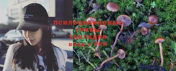 ПСИЛОЦИБИНОВЫЕ ГРИБЫ Алзамай