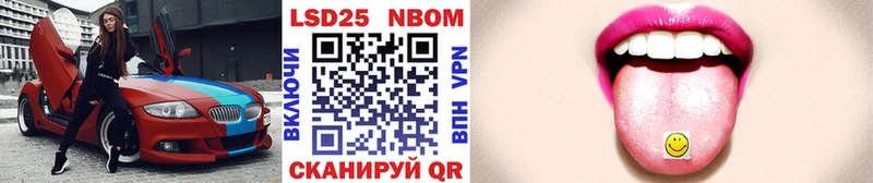 Марки N-bome 1,8мг где можно купить KRAKEN как зайти Невинномысск